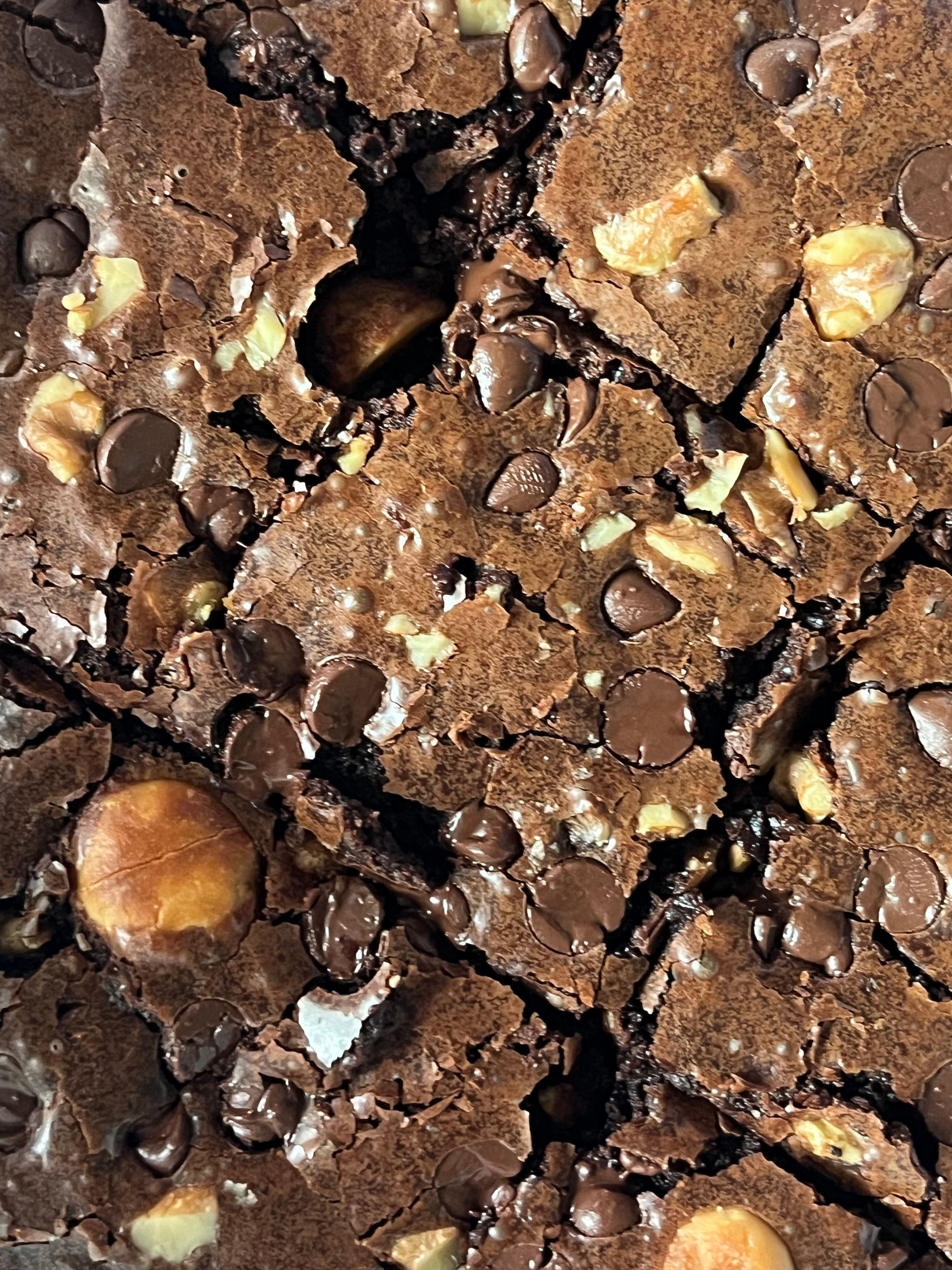 Sourdough Brownie (Box of 3 or 9) 🍫 _0