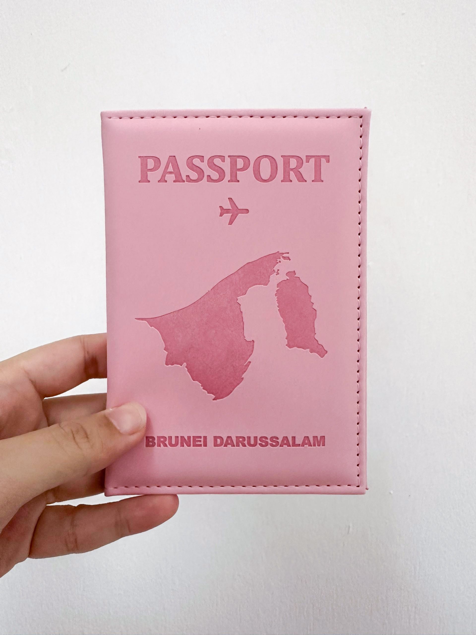 Passport Holder (Pink)_0