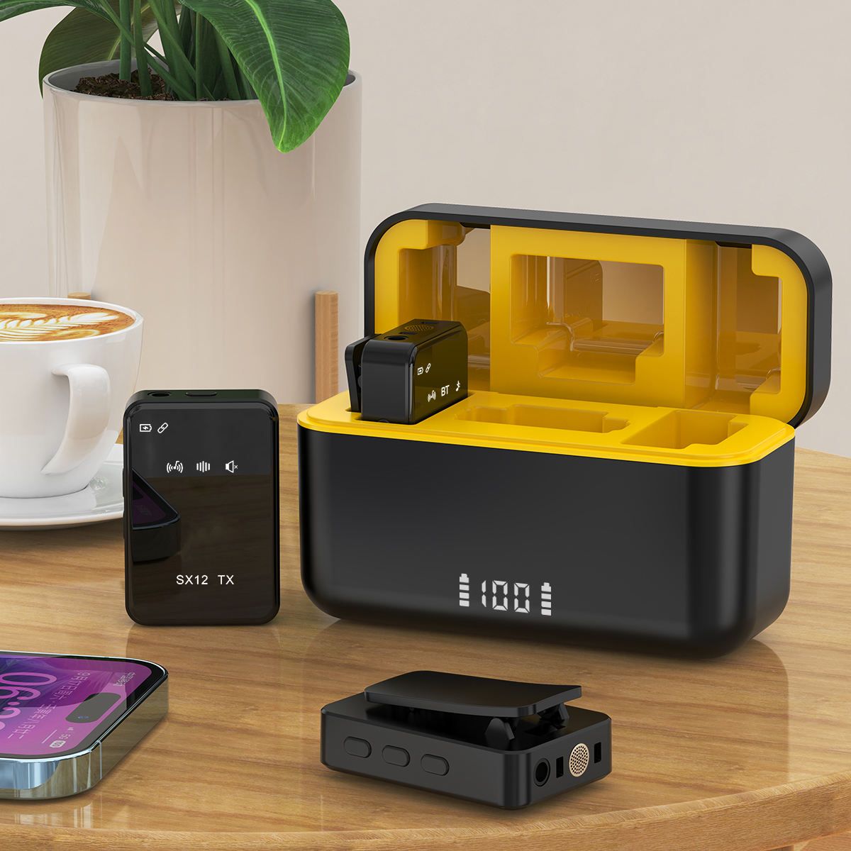 SX12 Wireless Microphone (2 Microphone/Set)_1