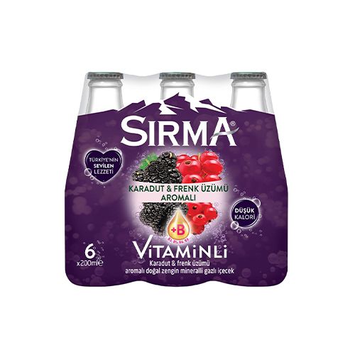 Sırma Karadut ve Frenk Üzümü Aromalı Soda (6 x 200 ml)_0