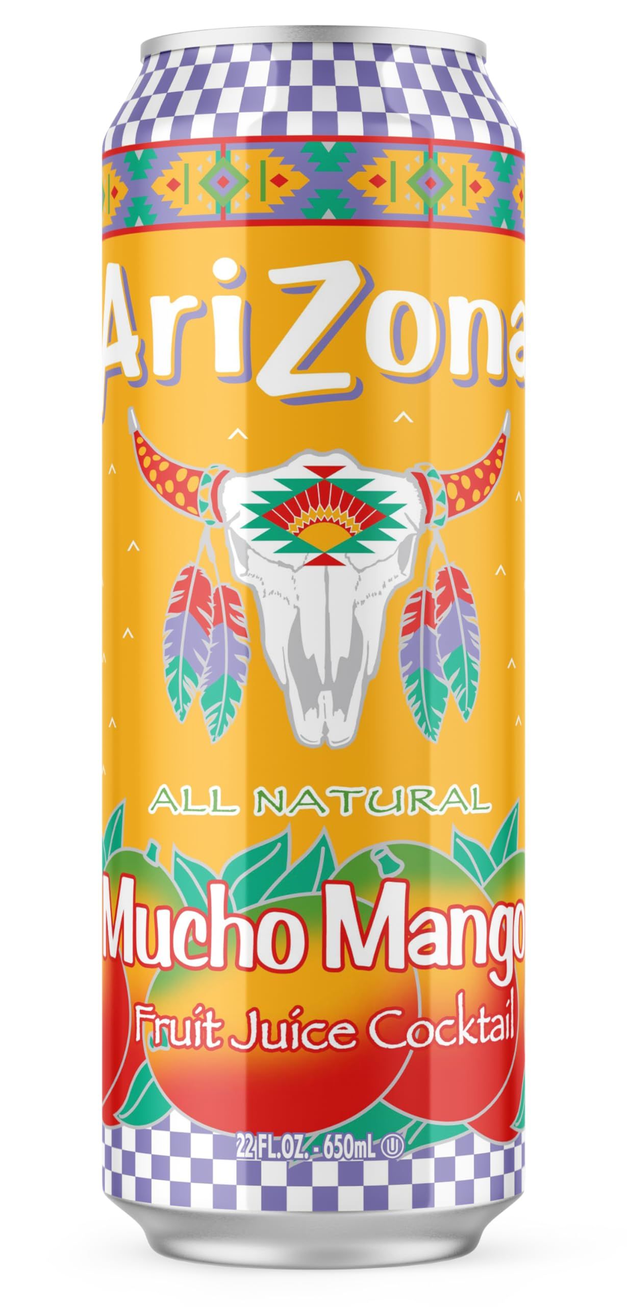 Arizona Big Can 24/22oz_18