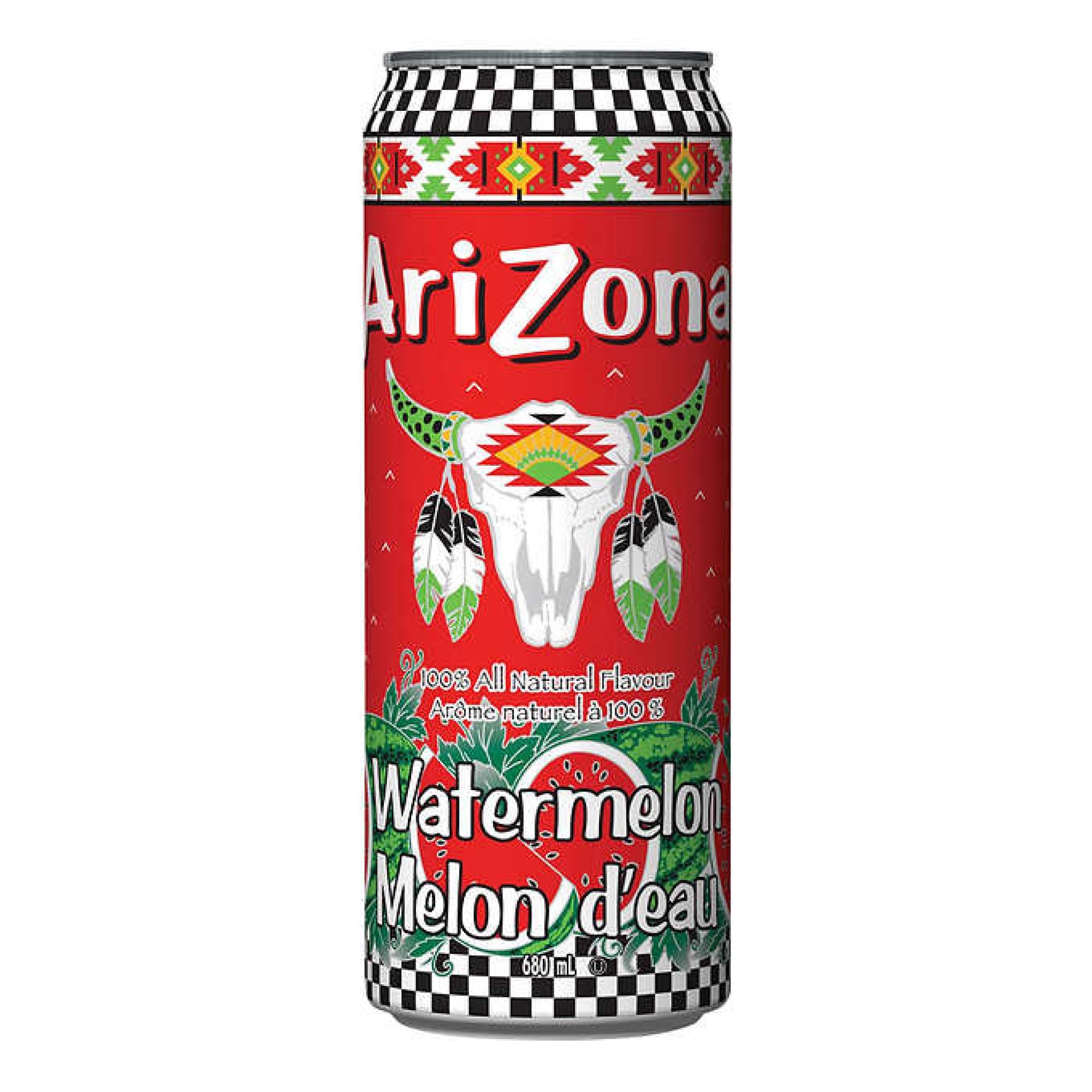 Arizona Big Can 24/22oz_19
