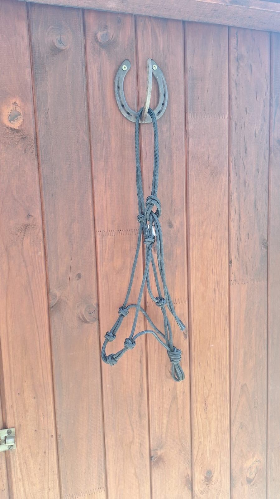 Control halter black_0