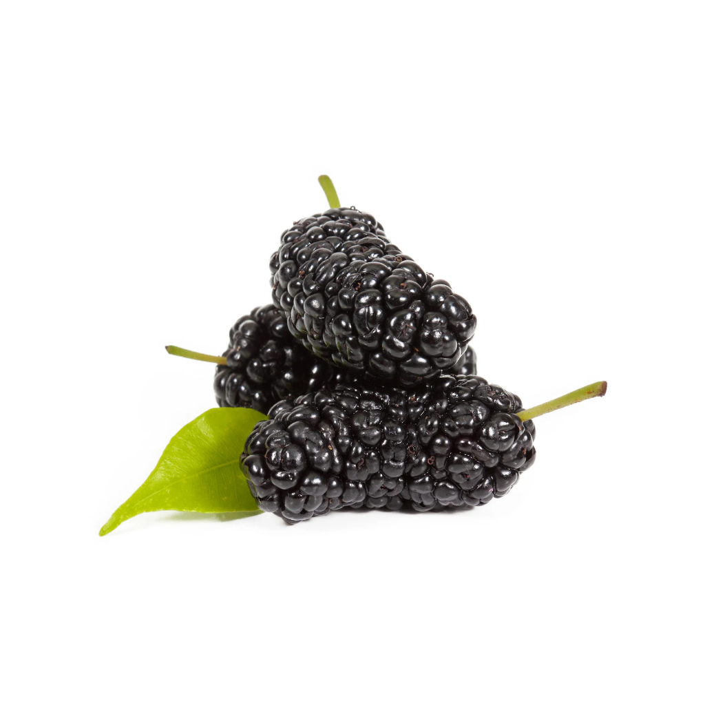 Mulberries (Box of 12)_0