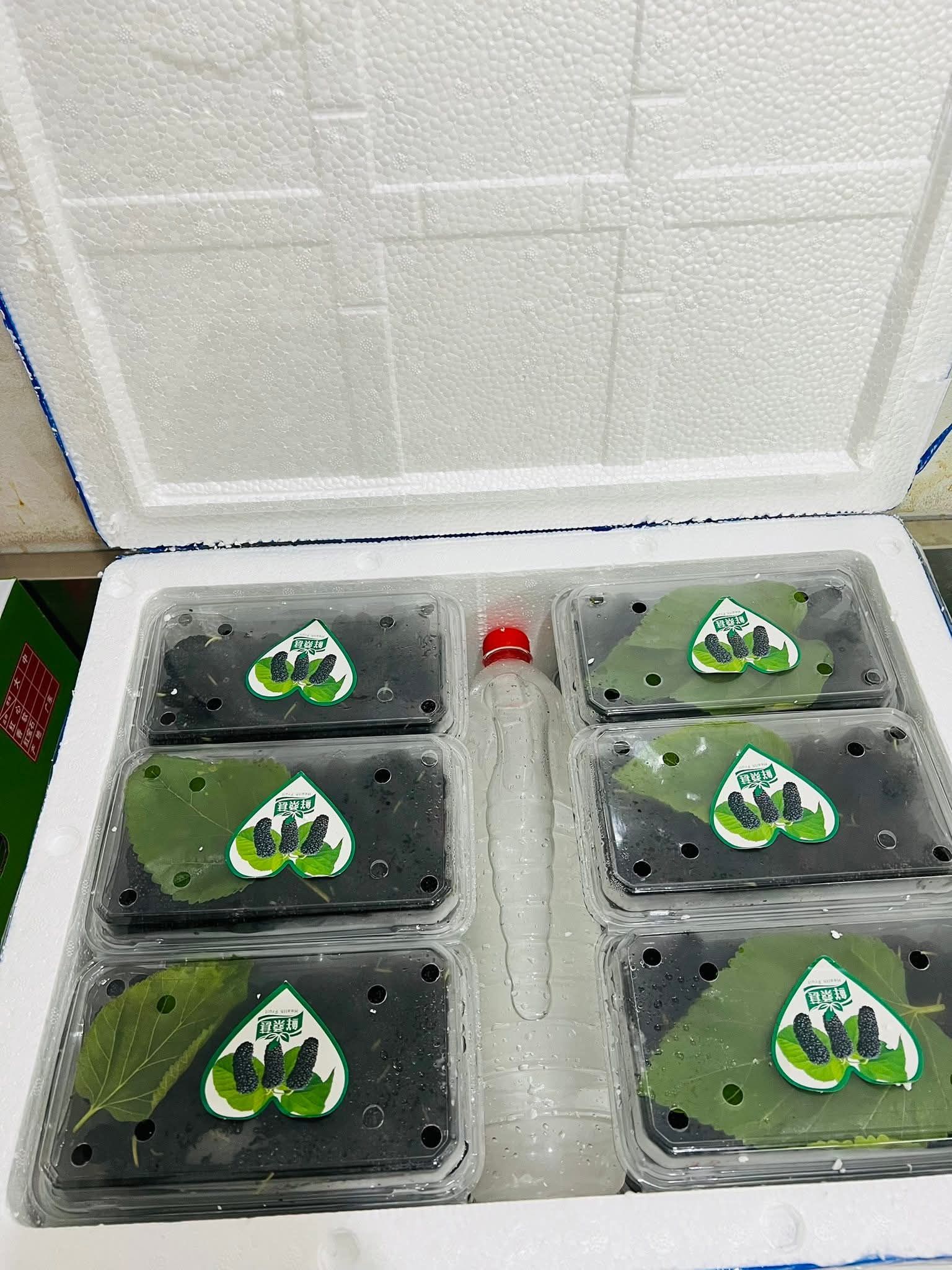 Mulberries (Box of 12)_1