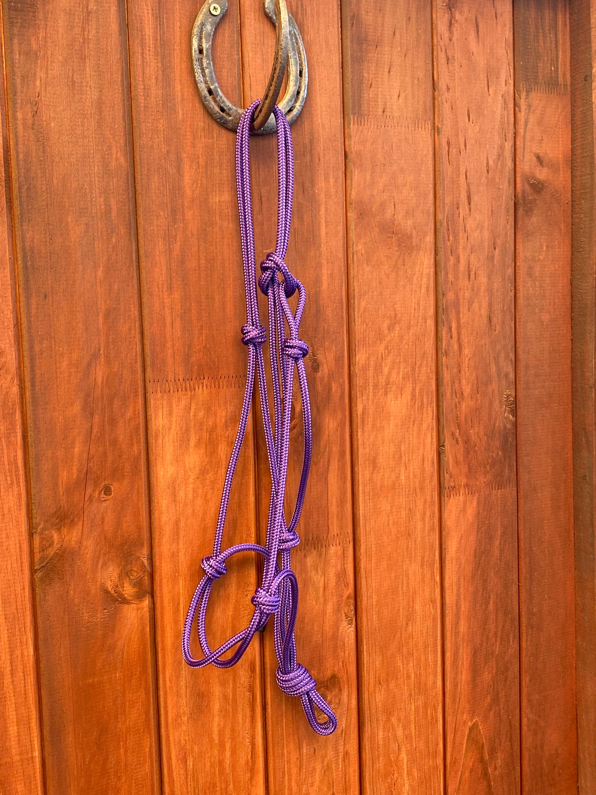 Rope Halter_1