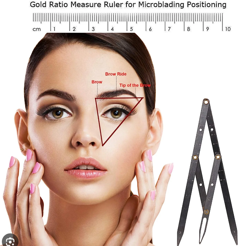 Stainless Steel Ruler V_0