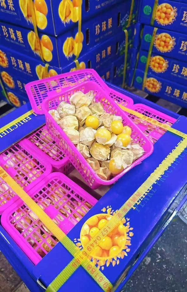 Girl Fruit / Gooseberry (By the Box) _2