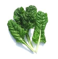 Spinach_0
