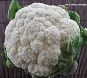 Cauliflower_0