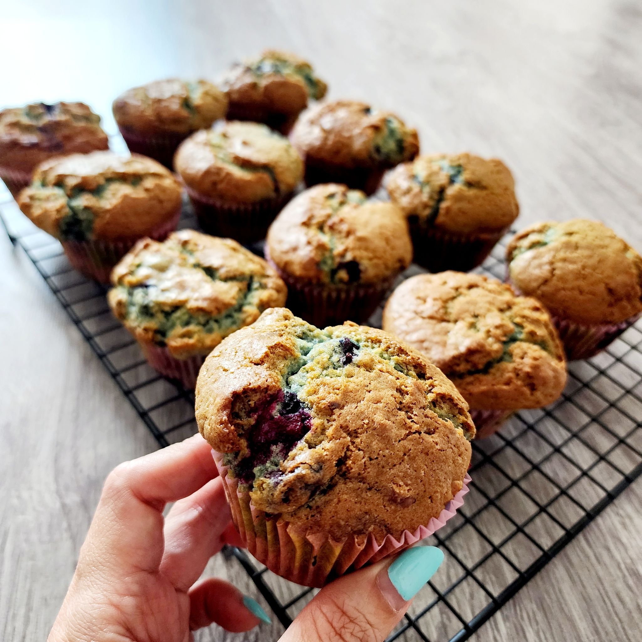 Blueberry Muffin (6pcs)_0