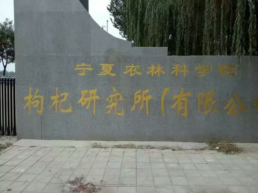 Kuai Tea™ - Ningxia Gojiberries 筷茶™寧夏枸杞 （農科院研究所產）_6