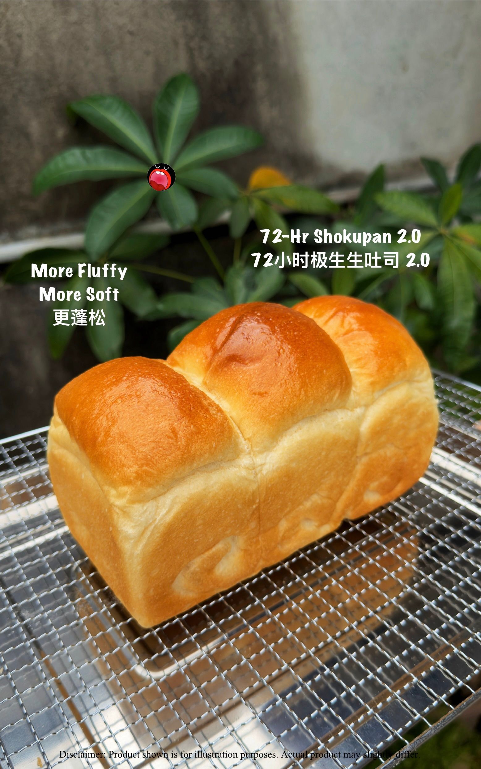 72-Hour Shokupan 2.0 72-小时极生生吐司 2.0_0