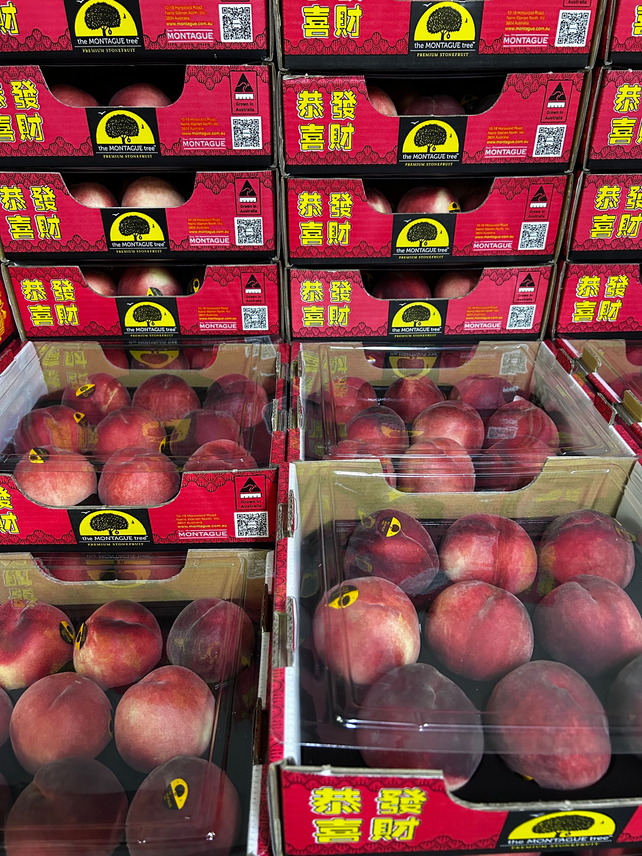 1 BOX Australia Montague Giftbox 9s_0