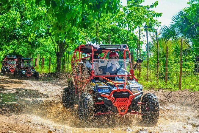 ATVs/Buggy_2