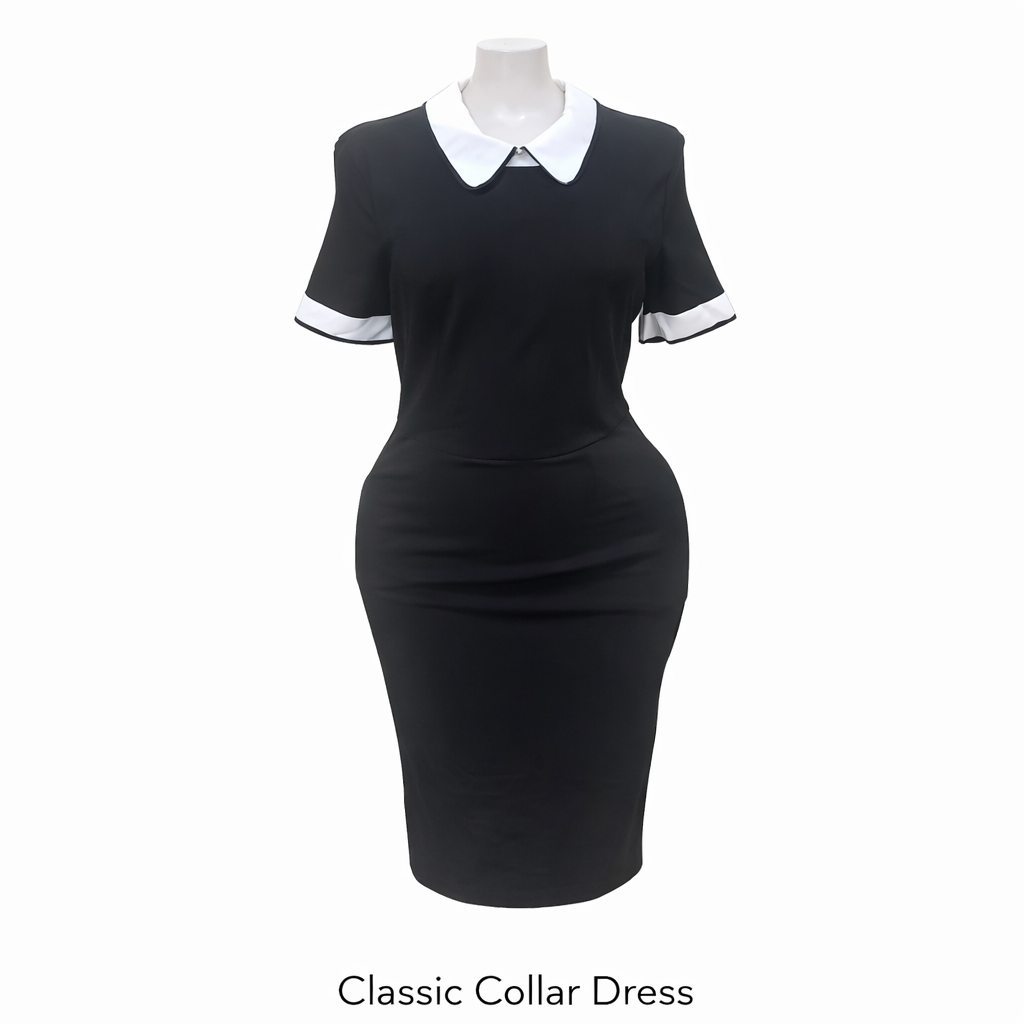 Classic Collar Dress in Black and White_0