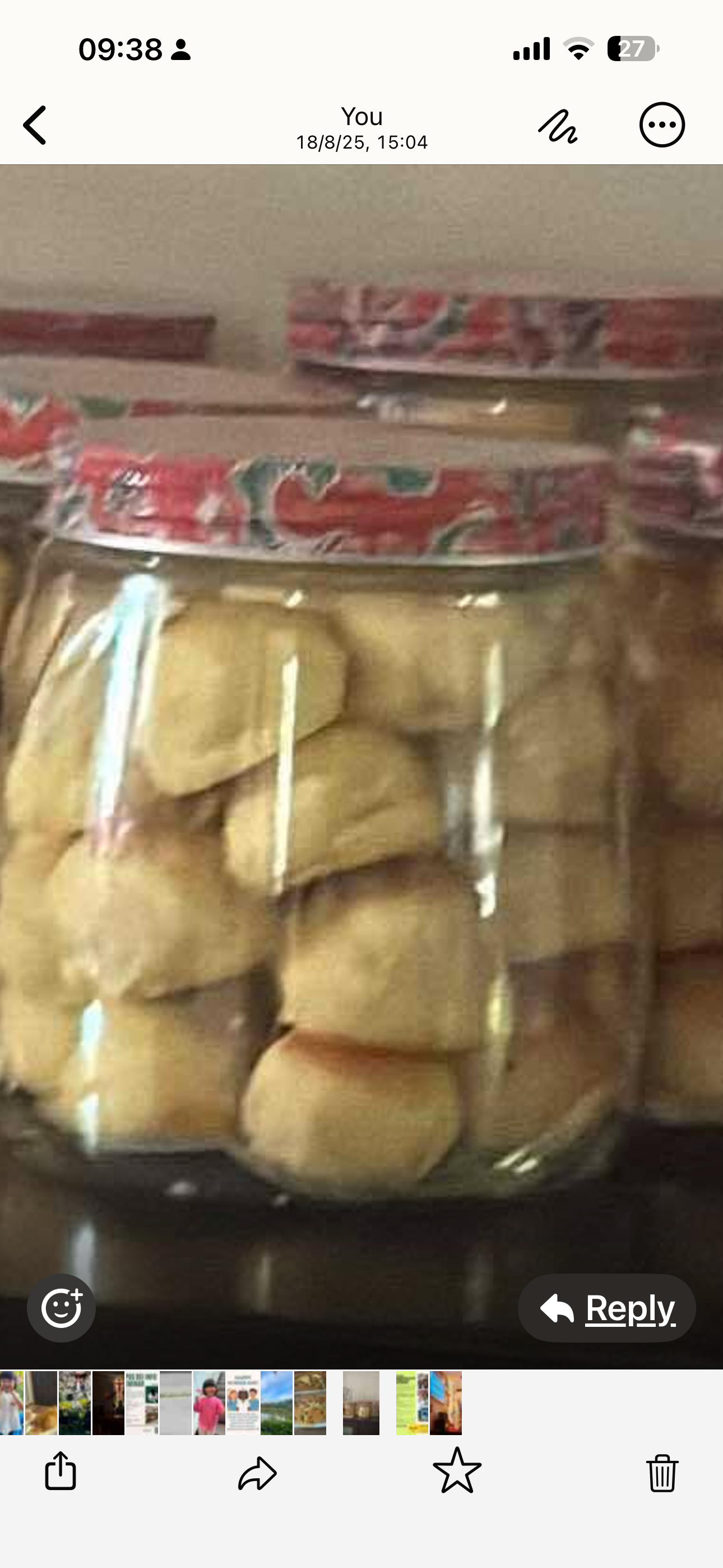 Pineapple tarts_0