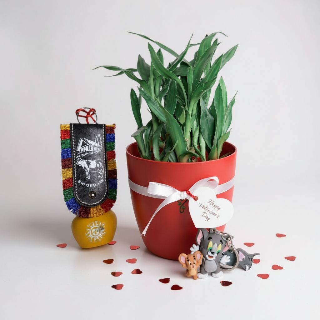 Lucky Bamboo 2Layer With Hyper Local Offer_7