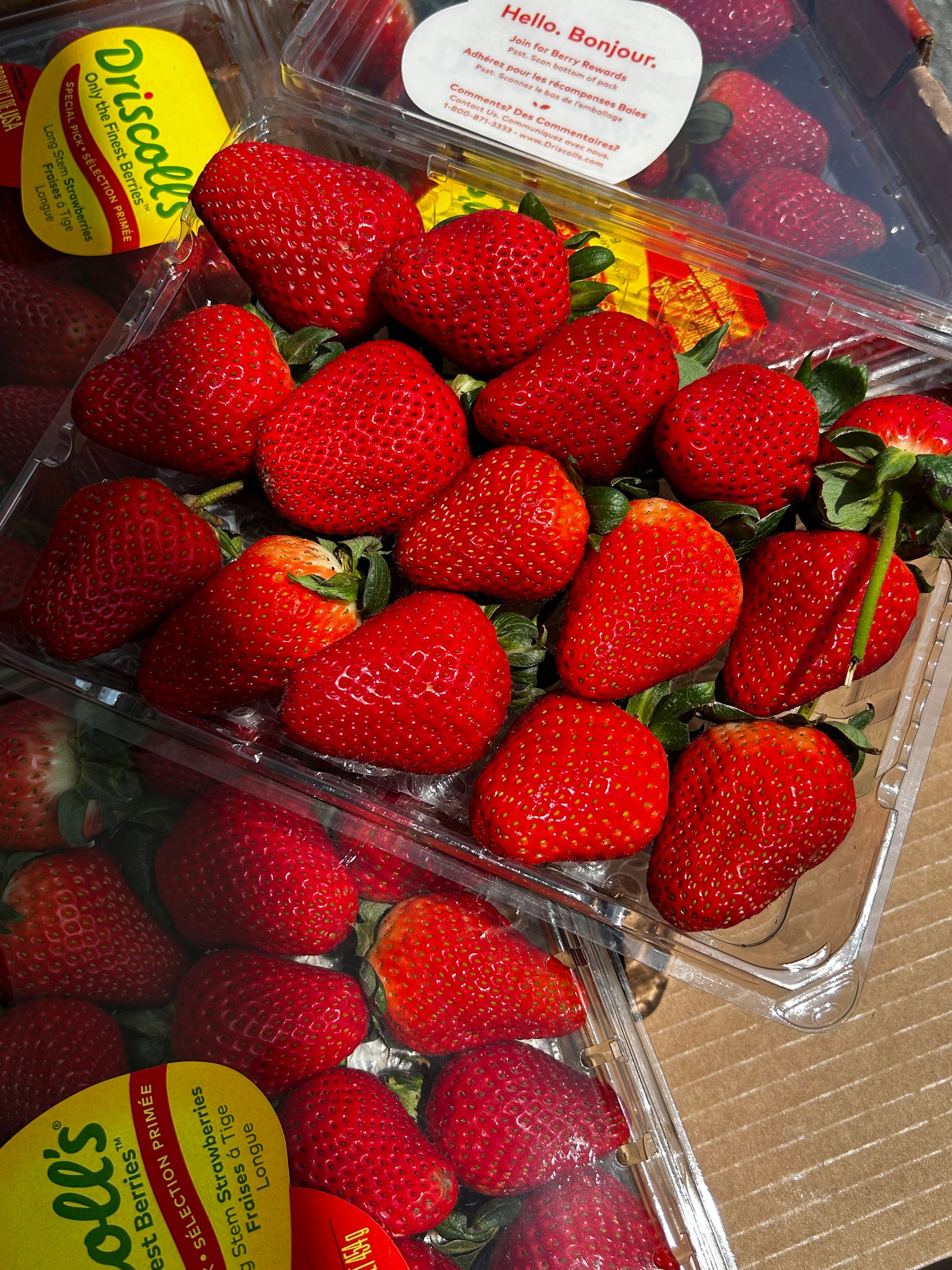 600G USA Driscoll Long Stem Jumbo Strawberry _0