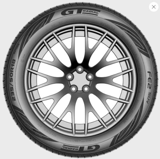 GT 225/55R18 CHAMPIRO FE2_2