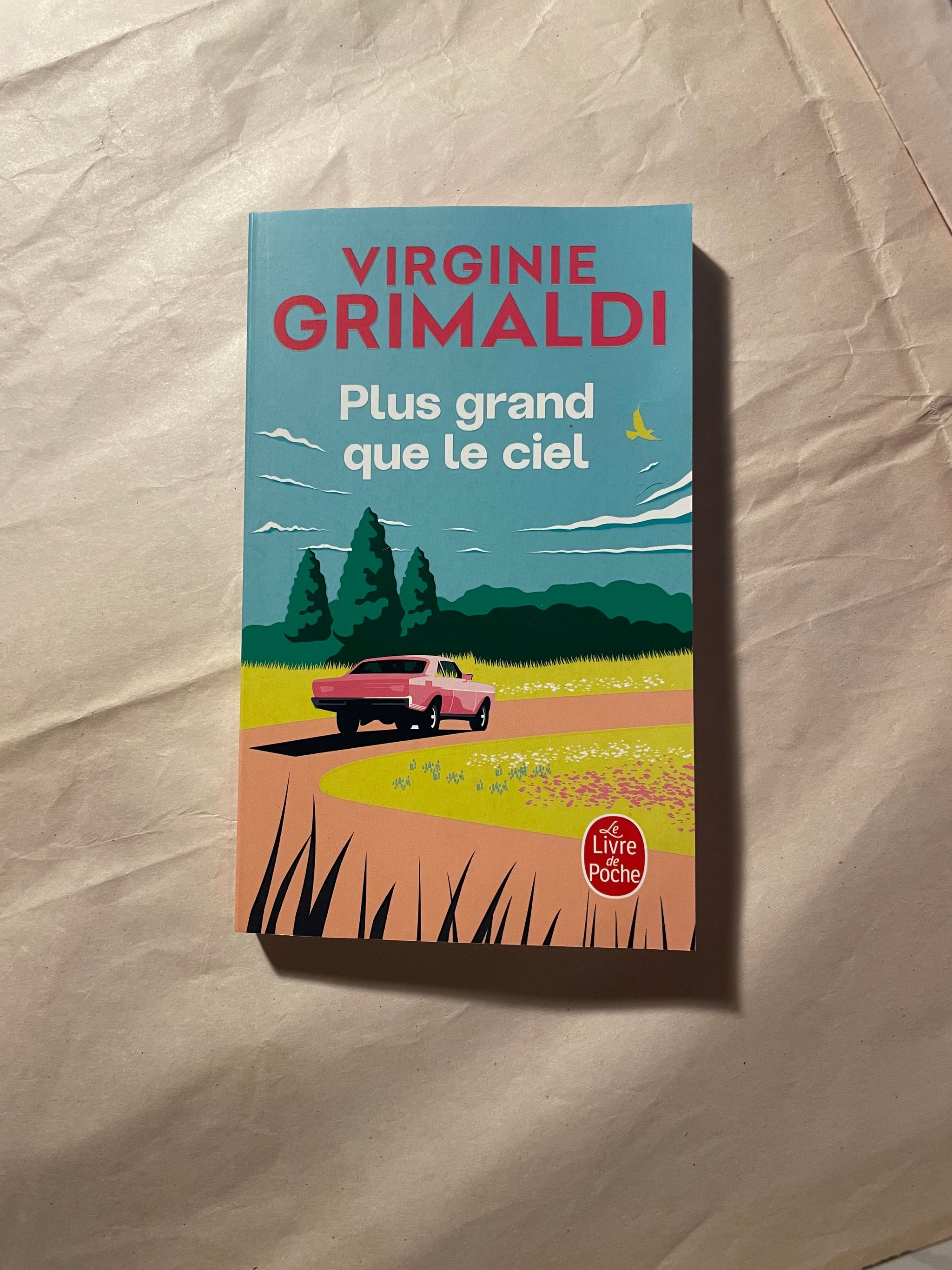 Plus grand que le ciel de Virginie Grimaldi_0