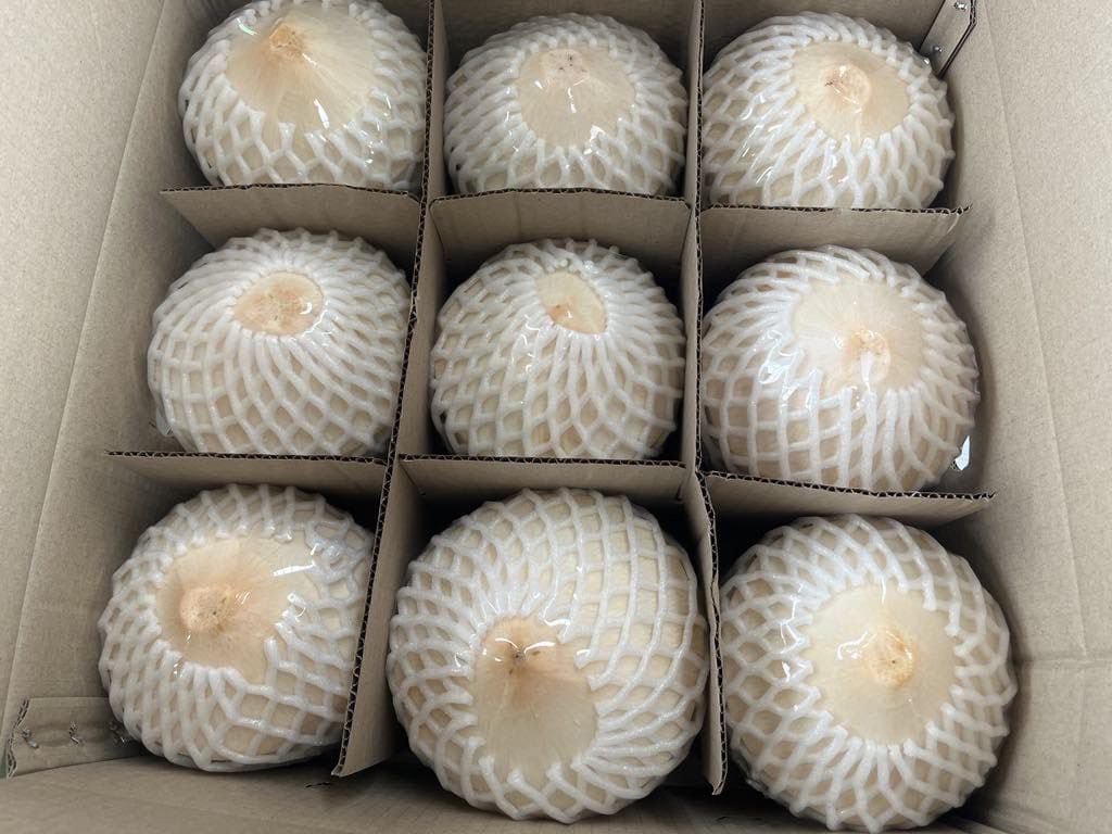 泰国高级椰子 THAI PREMIUM COCONUT ( 1箱9粒）_0