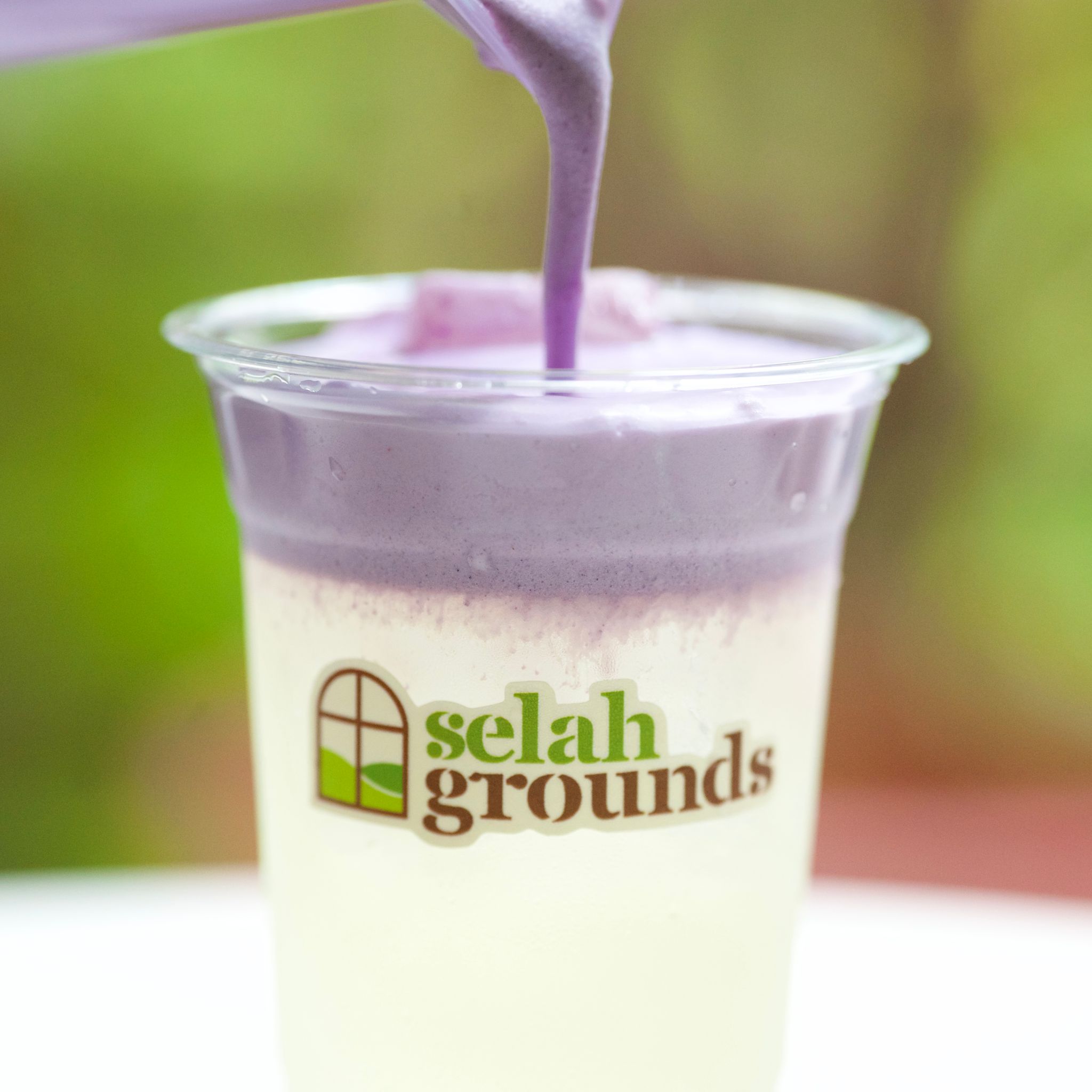 Coconut Taro Cloud_1