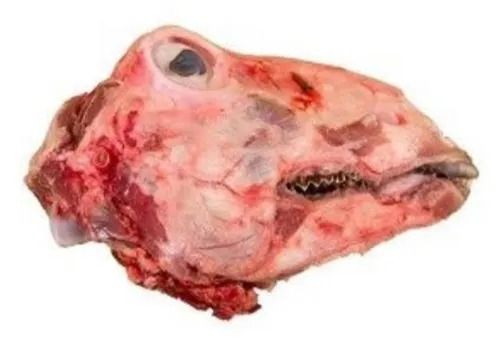 Mutton Siri (Head Meat) رأس الغنم_0