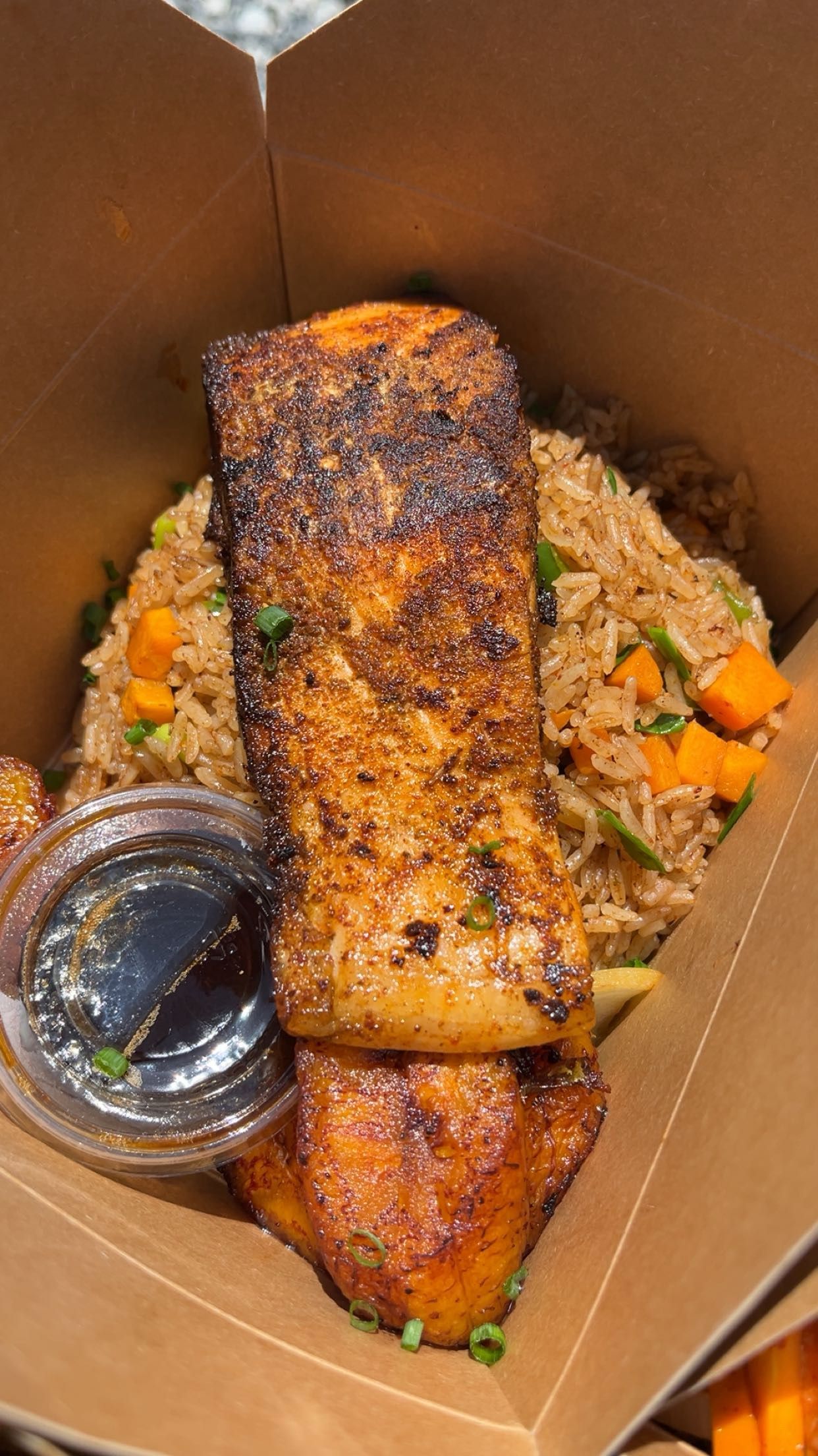 Norwegian salmon fillet _0