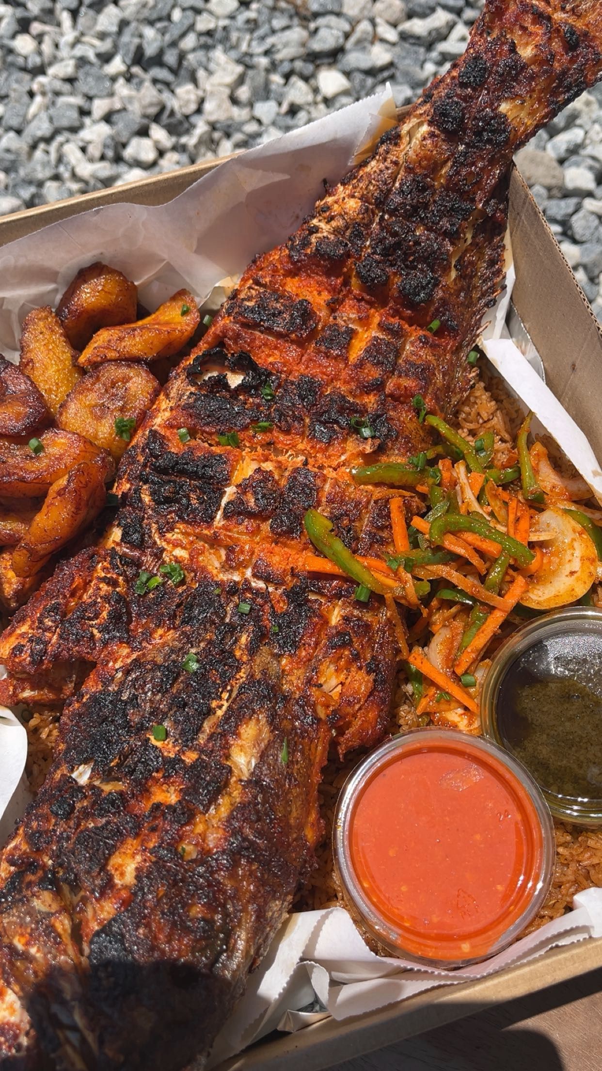 Grilled whole grouper fish_1