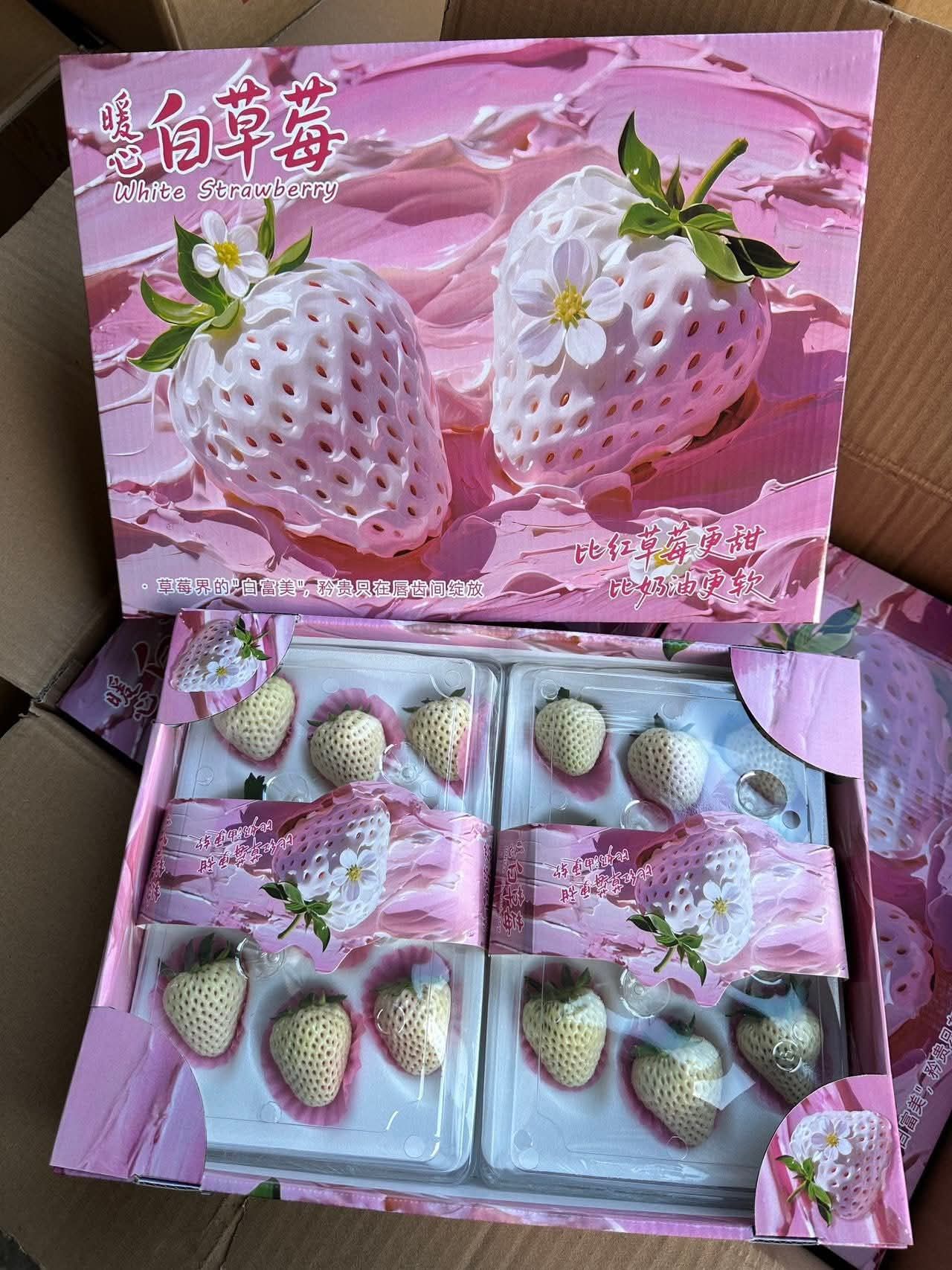 White Strawberries (Gift Box) _1