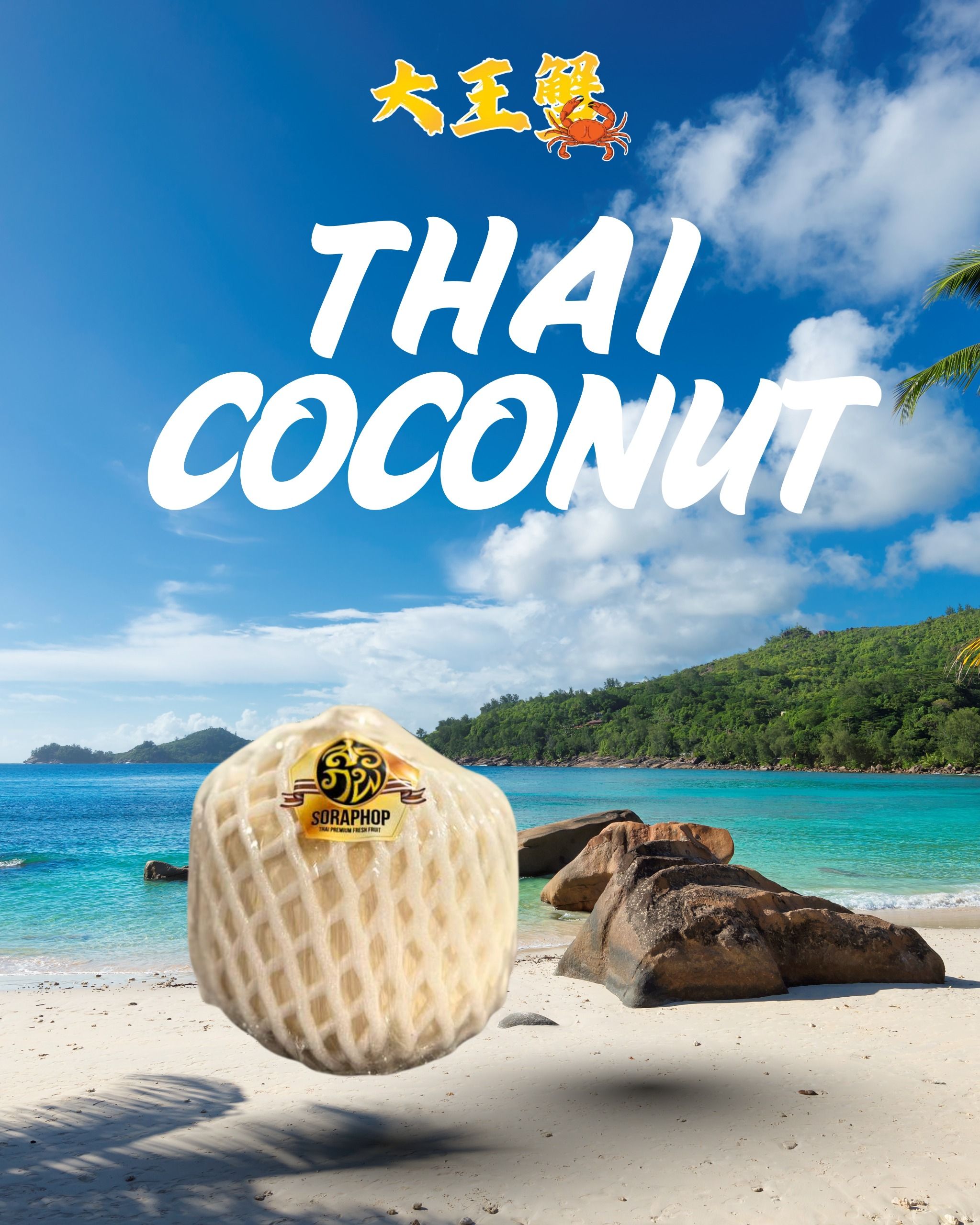 泰国高级椰子 THAI PREMIUM COCONUT ( 1箱9粒）_0