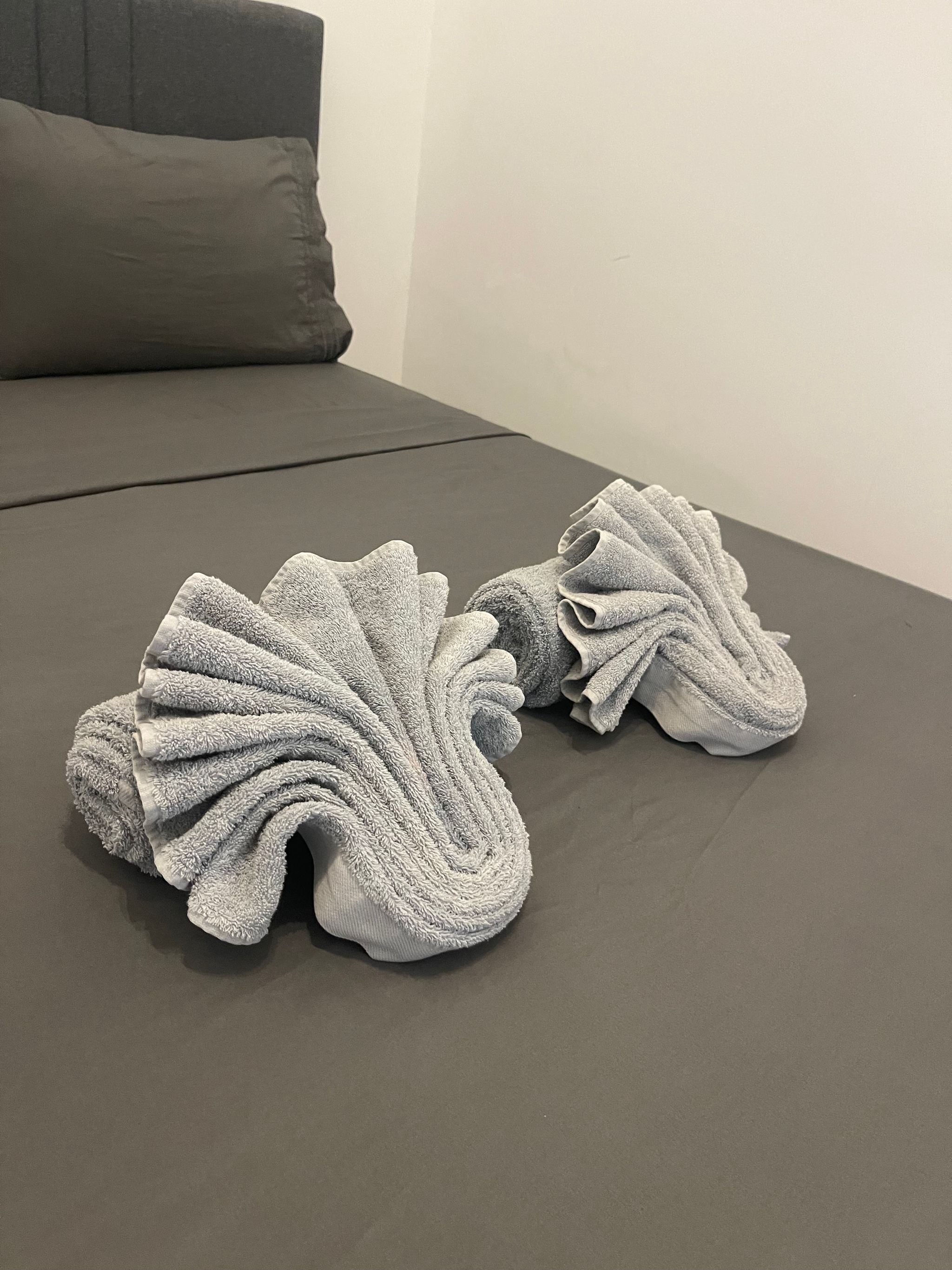 Tussenschoonmaak / Mid-Cleaning_0