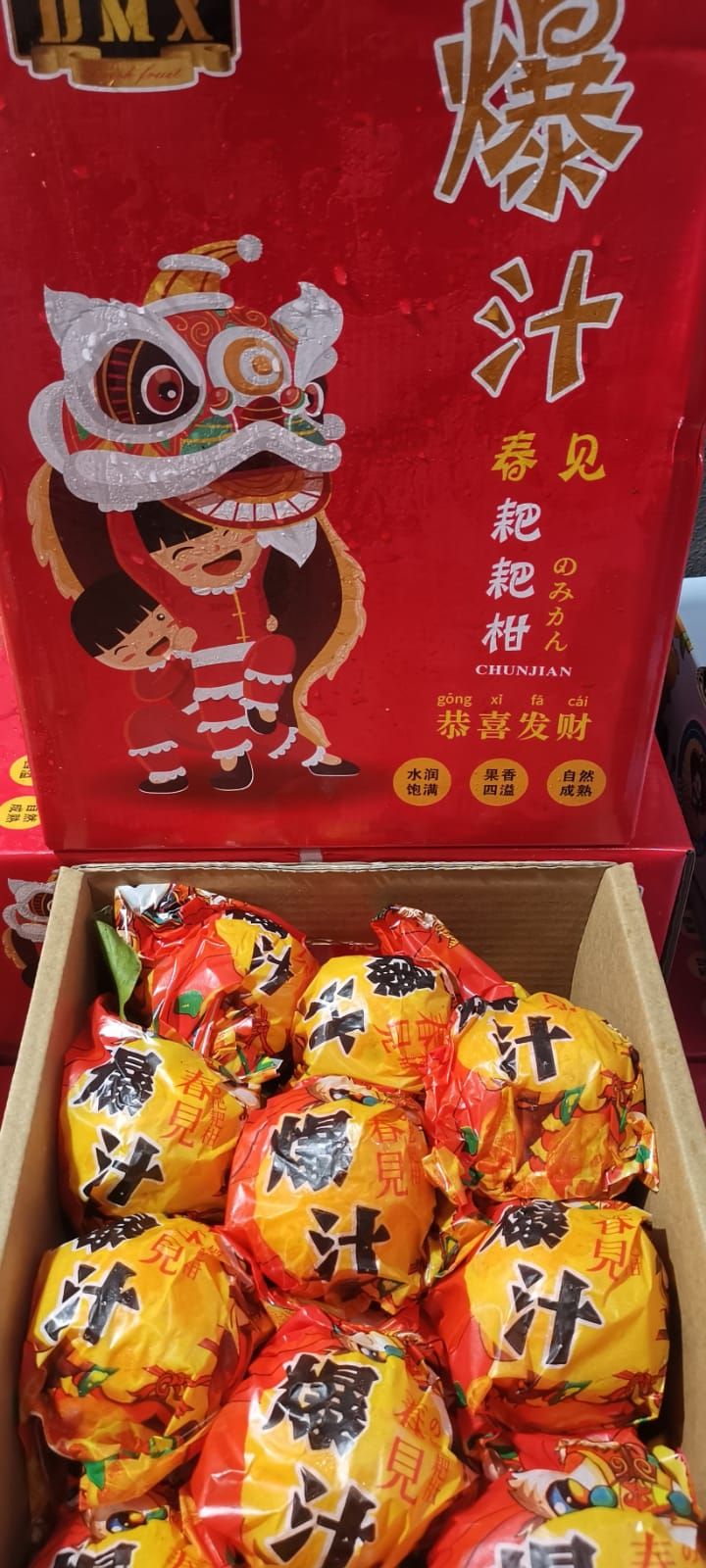 Chun Jian Papagan (春见耙耙柑）_0