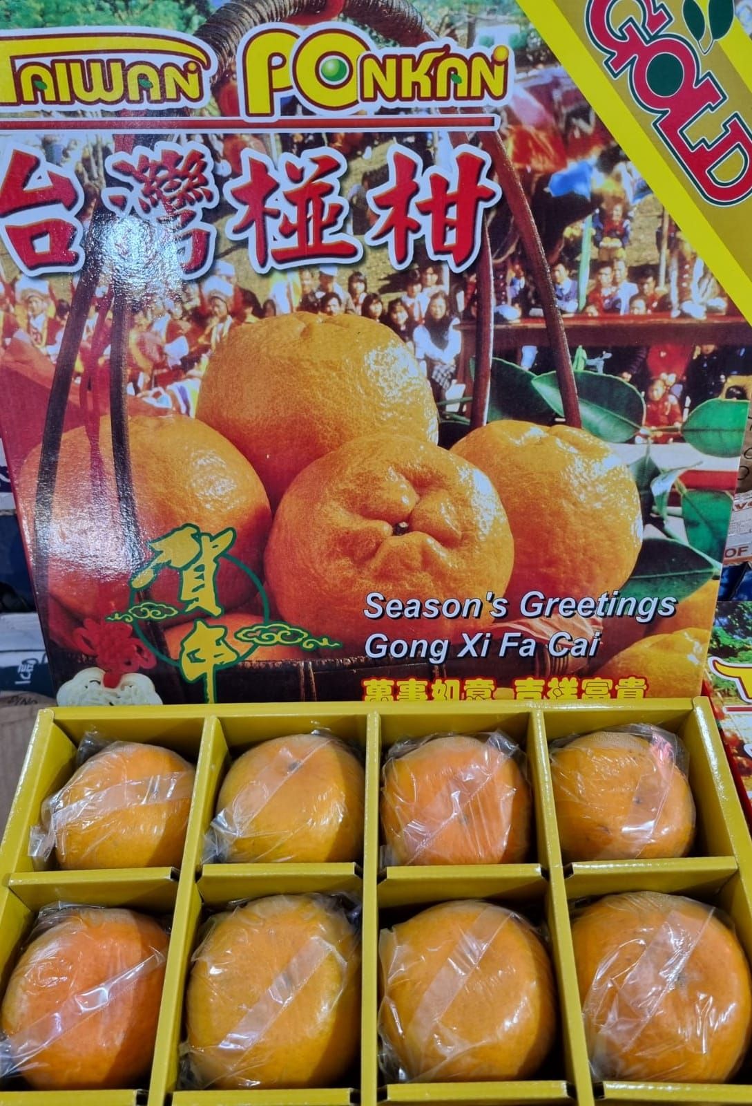 GOLD Taiwan Ponkan 16pcs (台湾椪柑）_0