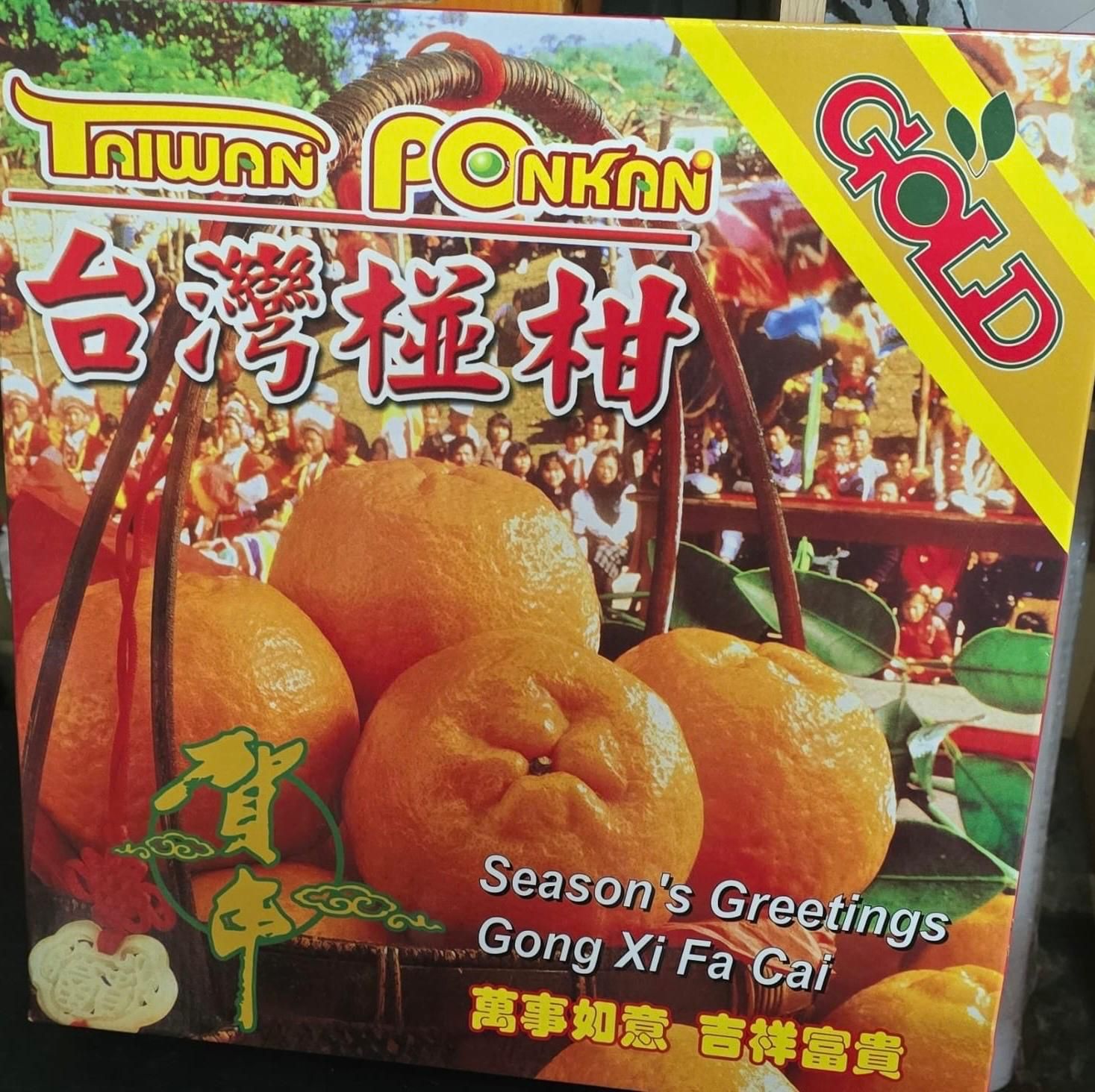 GOLD Taiwan Ponkan 16pcs (台湾椪柑）_1