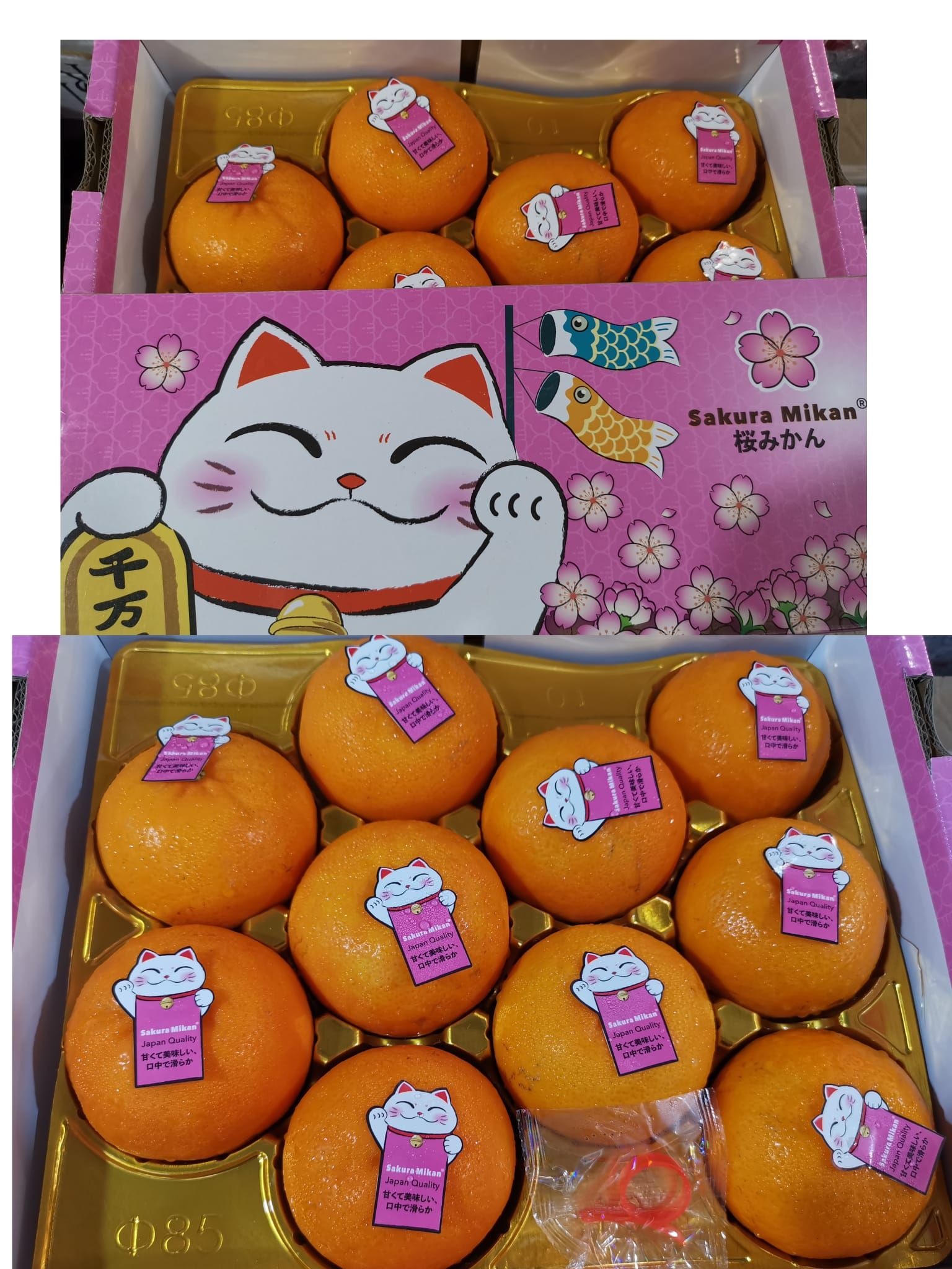 Sakura Mikan 2kg (樱花柑）_0