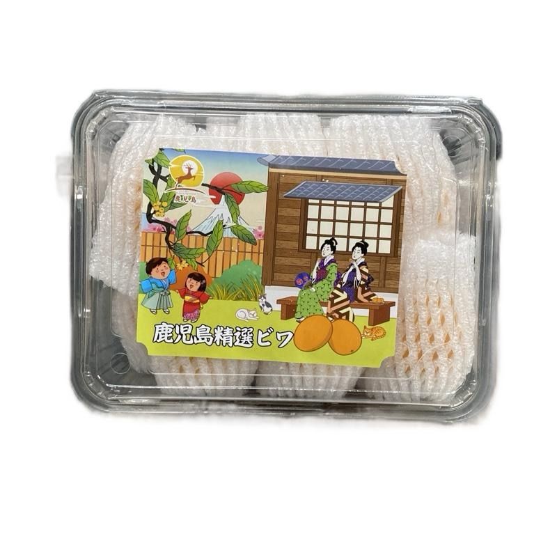 China Sweet Loquat _0