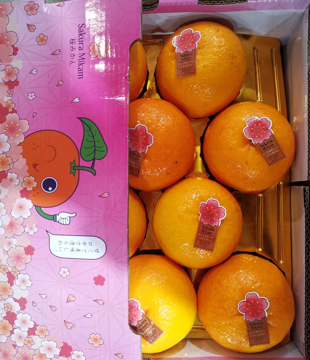 Sakura Mikan 5kg (樱花柑)_1