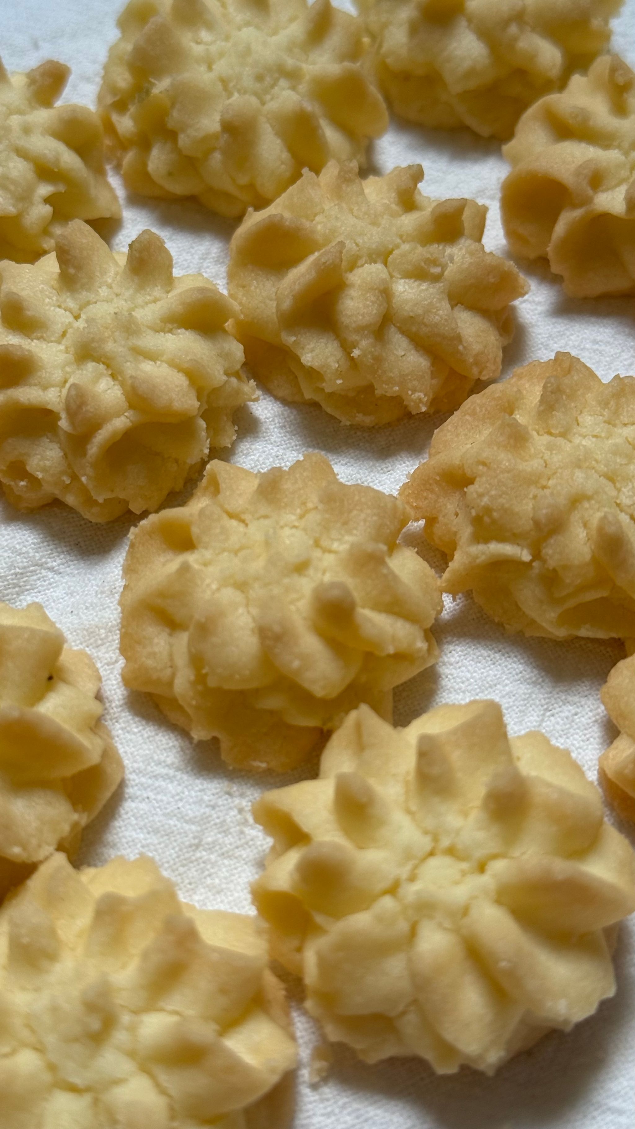 Smooth Butter/Choc Cookies _1