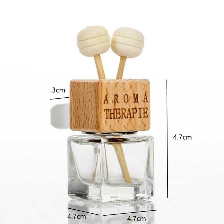 Vehicle Defuser Vent Clip - EMPTY _1