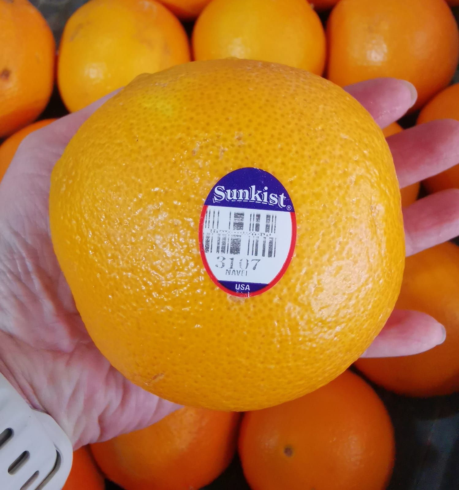 Sunkist Orange (L)_0