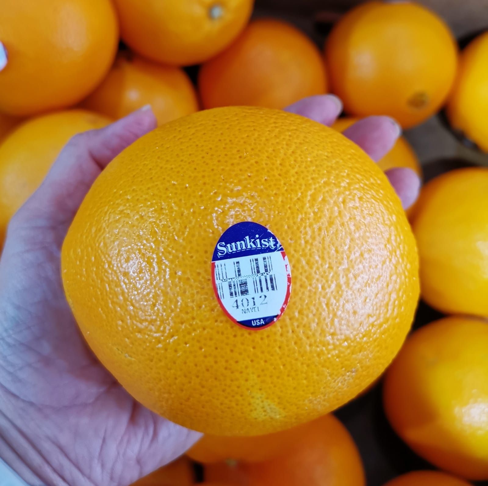 Sunkist Orange (M)_0