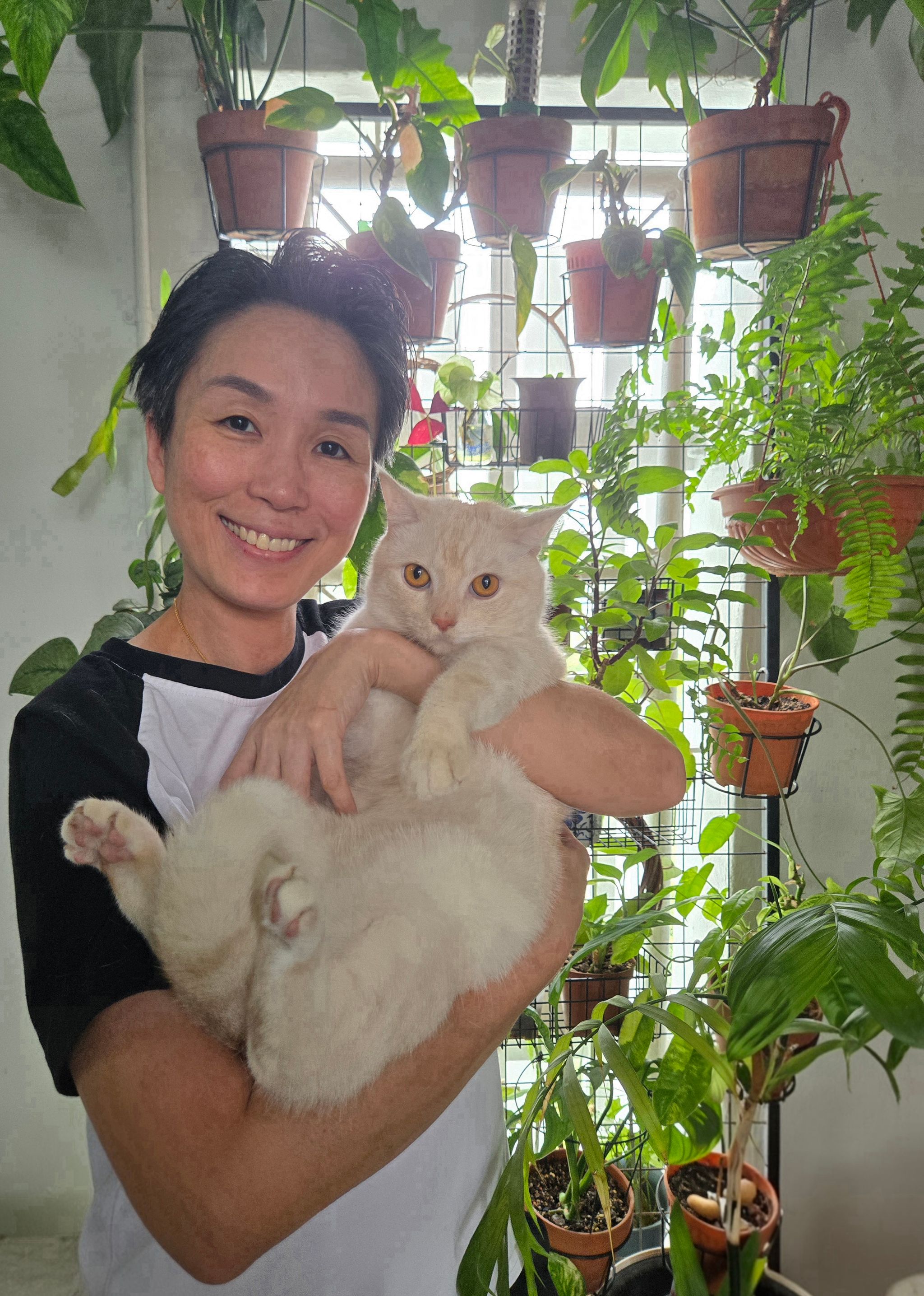  Silver Resident Cat Memberships_0