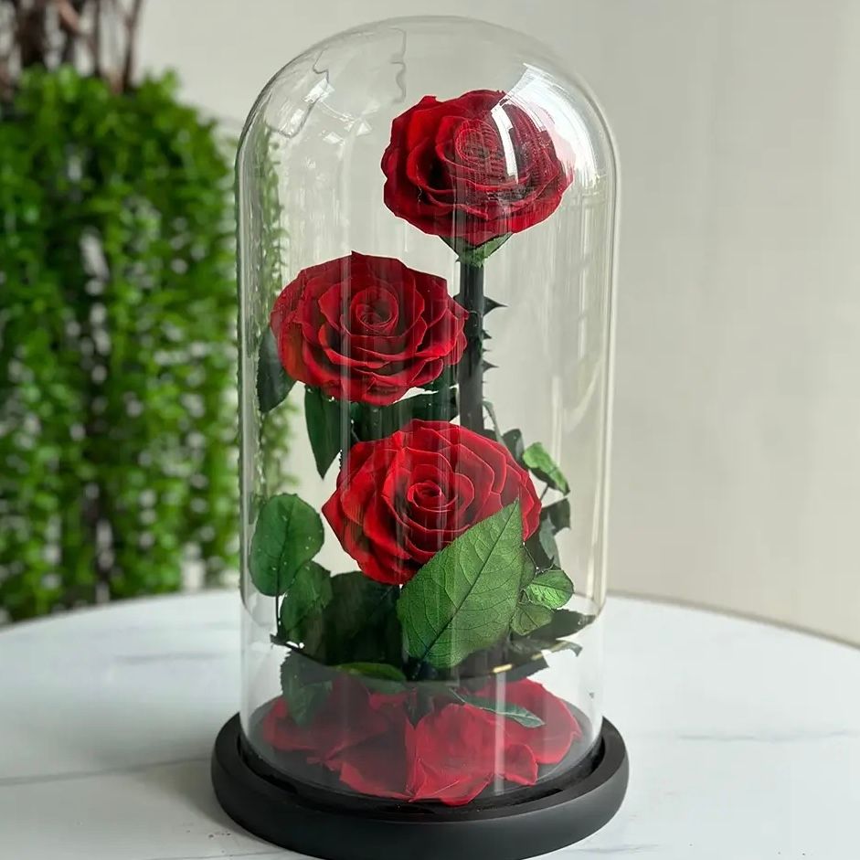 TEIPLE LARGE LUXURIOUS RED ETERNAL ROSE_0