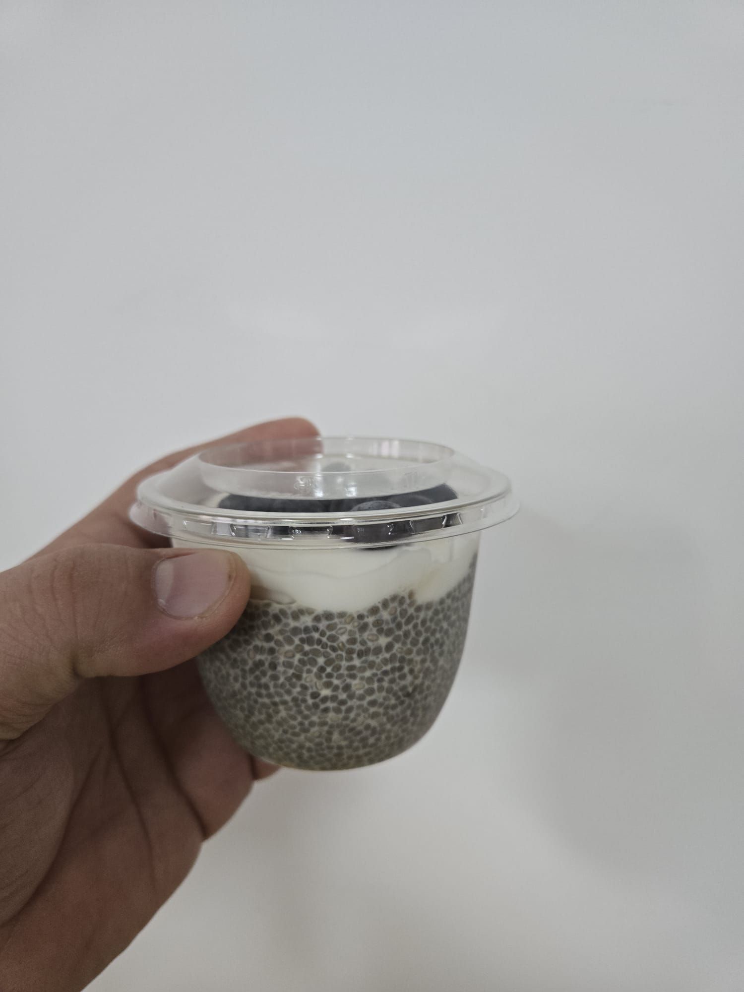 Budinca chia & iaur vegan + fructe_0