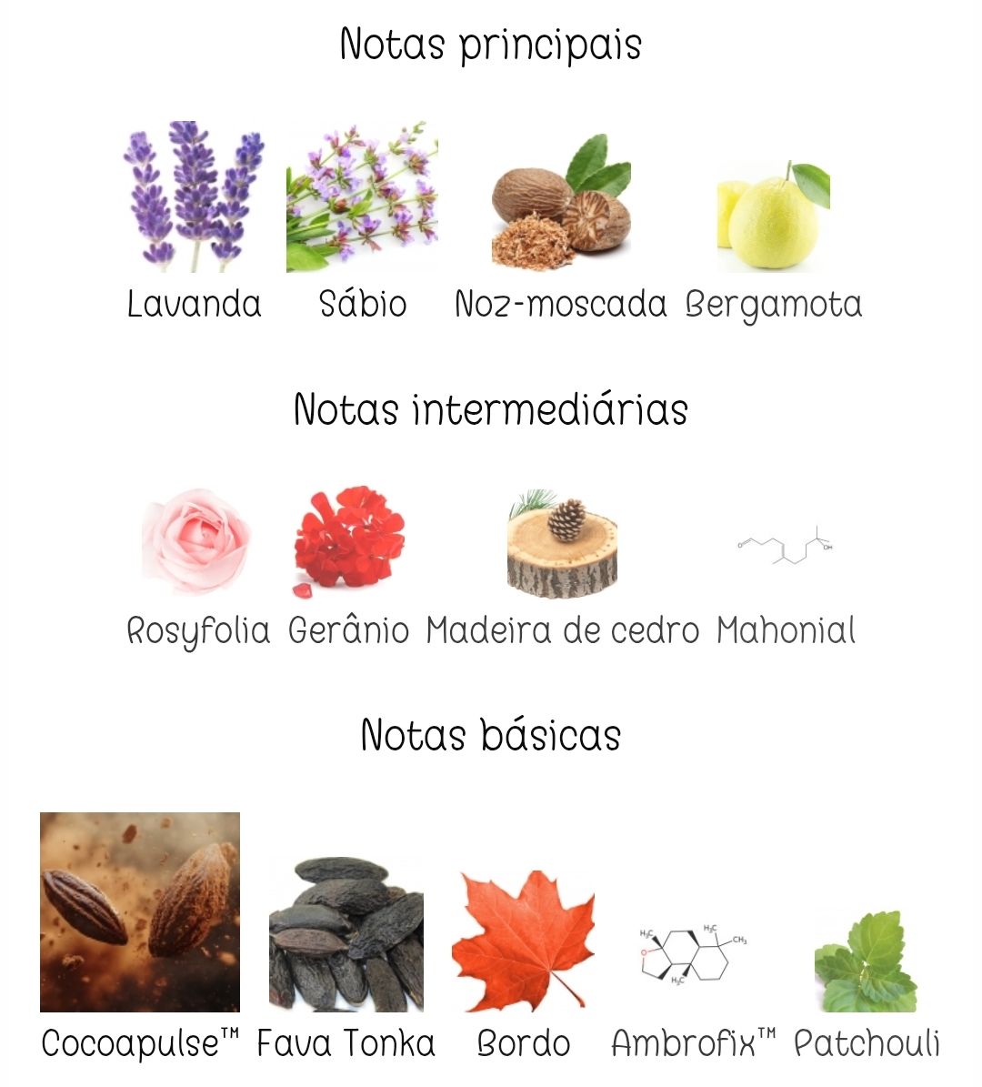 Musamam Black Intense_2