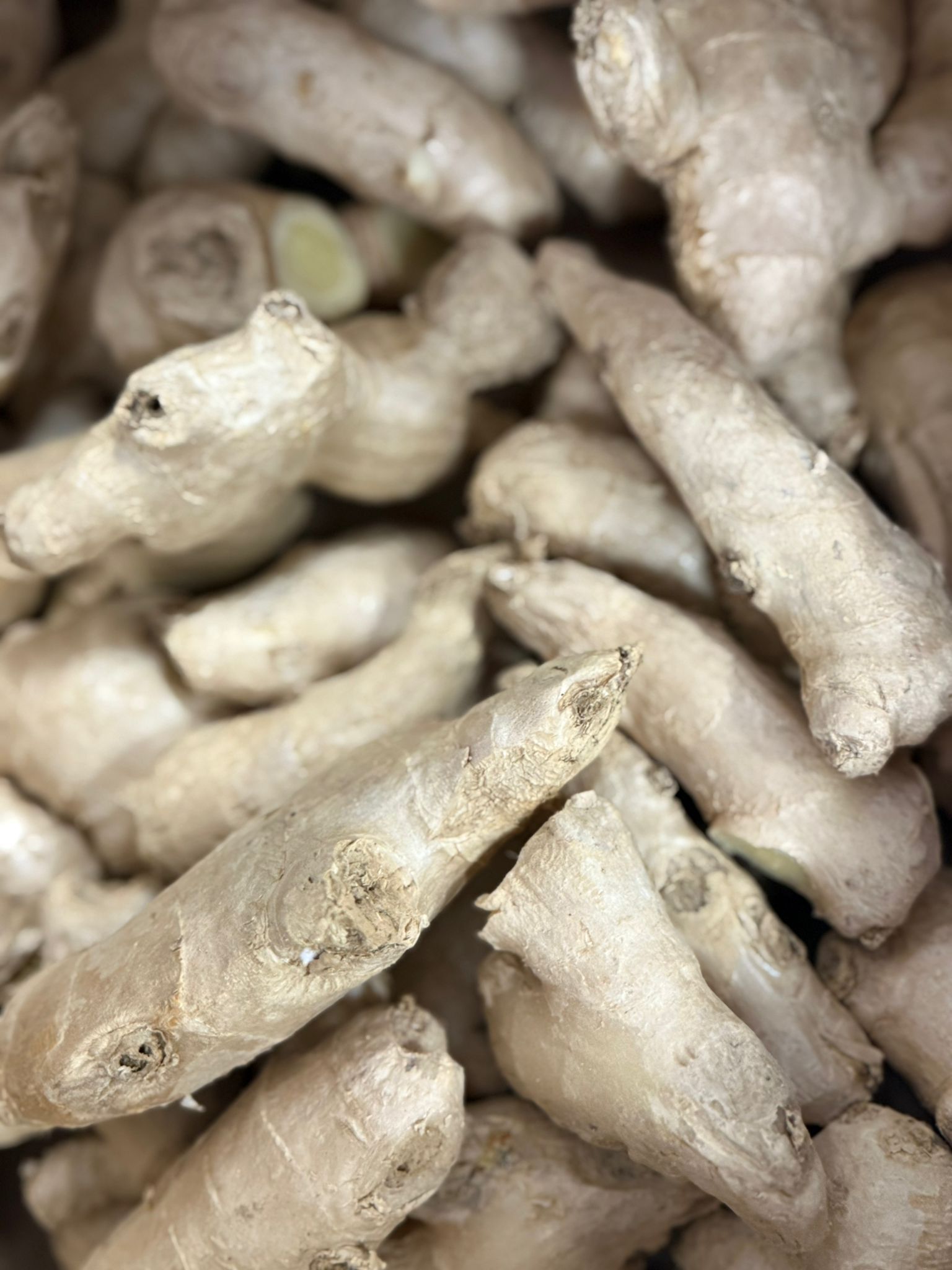 زنجبيل | Ingwer | 100g_0