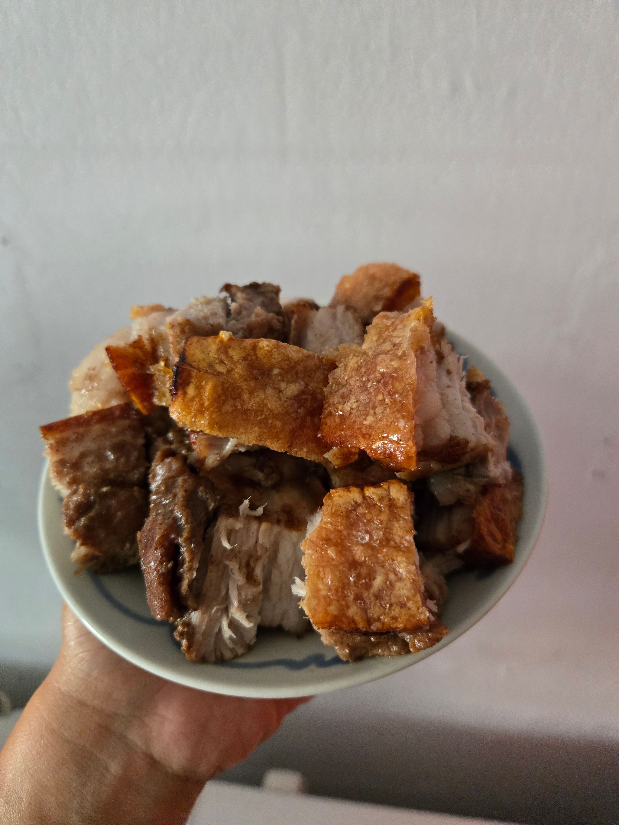 Homemade Roasted Pork_0