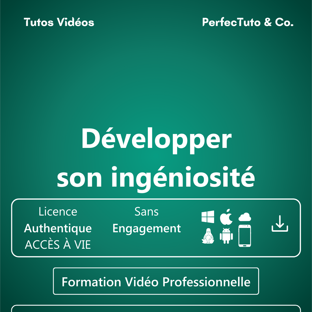 Développer son ingéniosité_1